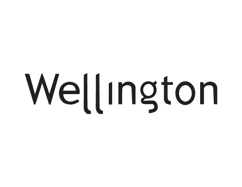 Wellington Insurance Group